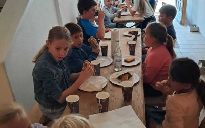 d3cc544a-1ddd-4600-b0f5-7d2e1b3c610f